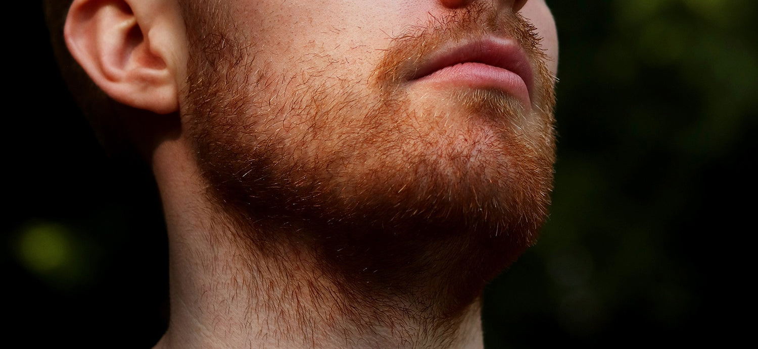 Inside Information On Beard Growth Braw Beard